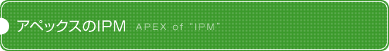 ���ڥå�����IPM