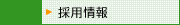 �ꥯ�롼��
