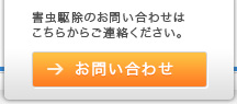 䤤碌